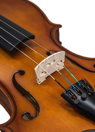 Paititi 3/4 Size Artist-100 Student Violin Starter Kit with Brazilwood Bow Lightweight Case, Shoulder Rest, Extra Strings and Rosin