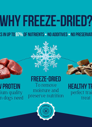 Stewart Freeze Dried Dog Treats, 100% Beef Liver, 21 oz Tub | Premium Quality Raw Protein, Single Ingredient, High Protein Training Treats & Food Topper, No Refrigeration, Cat Friendly
