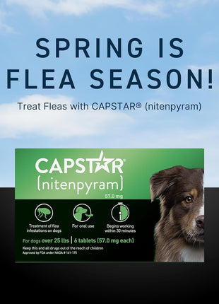Capstar for Dogs (nitenpyram), Fast-Acting Oral Flea Treatment for Dogs Over 25+ lbs, Vet-Recommended Flea Medication Tablets Start Killing in 30 Minutes, 6 Doses