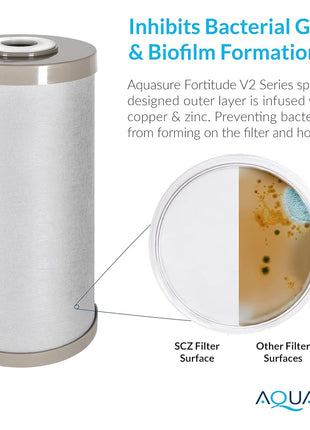 Fortitude V2 Series Sediment/Carbon/Zinc Bacteria Inhibiting Triple Purpose Replacement Filter - Standard (Sediment/Carbon/Zinc, Standard)
