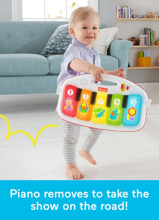 Fisher-Price Baby Playmat Deluxe Kick & Play Piano Gym for Learning & 2 Maracas Soft Rattles for Newborn to Toddler Play Ages 0+ Months