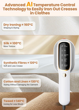 Steamer Iion 1301