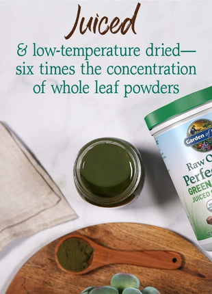 Garden of Life Raw Organic Perfect Food Chocolate Powder, 60 Servings | Juiced Cereal Grasses, Plant Based Green Supplements for Immune Support and Digestive Support, Green Superfood
