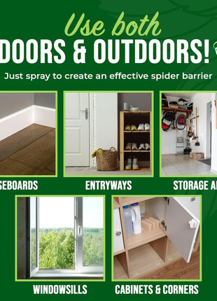 Mighty Mint Peppermint Oil Spider Repellent Spray – Indoor & Outdoor Bug Control for Spiders and Insects – Plant-Based, Extra-Strong Formula - 16 oz